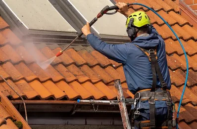 Démoussage et hydrofuge de toiture au Mesnil-Robert